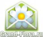 Логотип компании Доставка цветов Гранд Флора (ф-л г.Кашира)